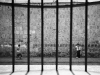118677501.tnTR6RPP.JPEGAccordionNB