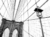 119104945.LLn87bda.Brooklynbridge