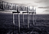 Cabane 2