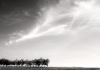 Arbres & Nuages