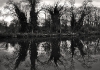 reflets