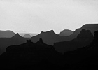 Paysage