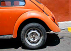 Coccinelle